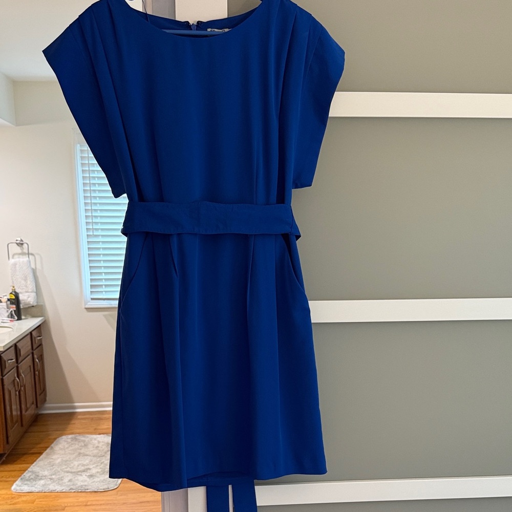 Elegant Eliza J  Belted Tie Waist Blue Dress size 8